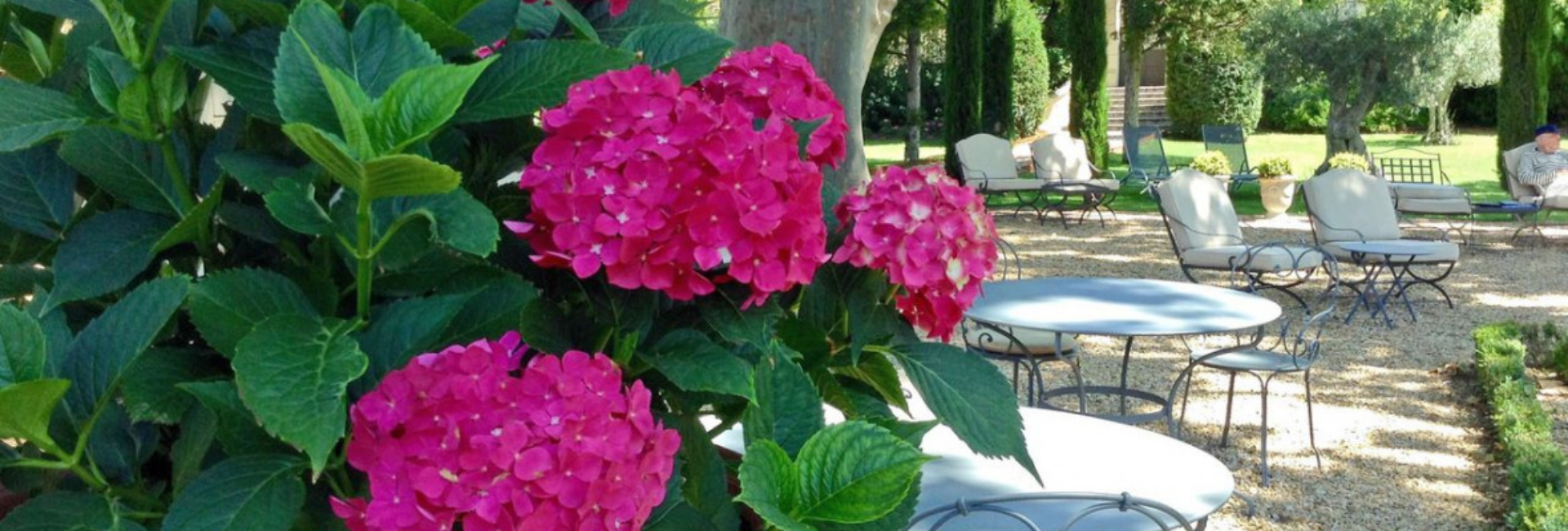 Fleurs du jardin de la Bastide de Boulbon